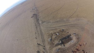 Bio-Mulch treated field - left. Untreated field - right. The Bio-Mulch treated half shows significantly less residual stubble and more manure than the untreated right half.