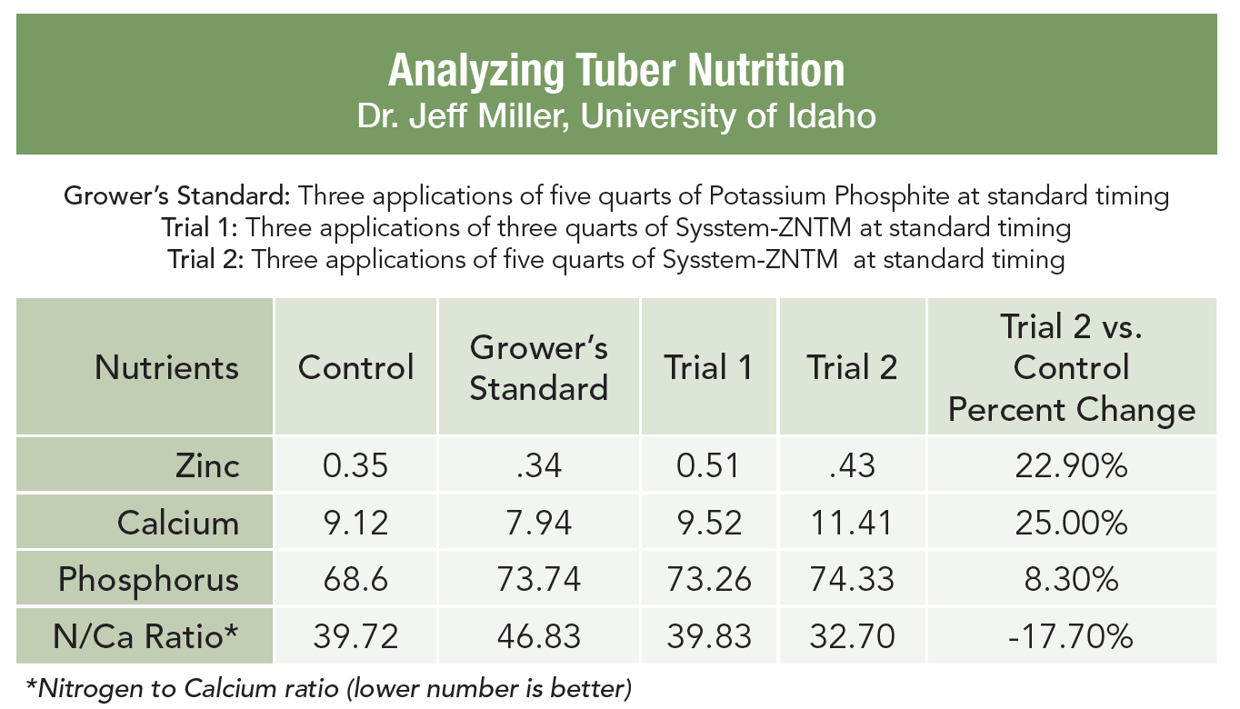Increasing Marketable Potato Yield and Internal Quality AgroK