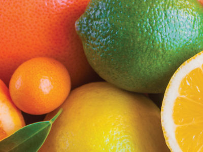 Calcium Crucial For Citrus Fruit Development