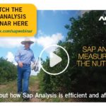 SAP Analysis