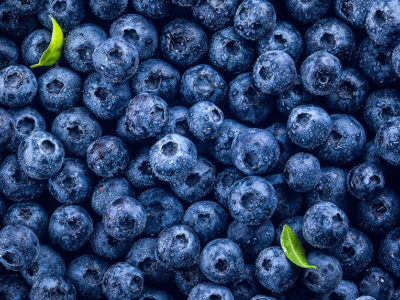 Increasing Fruit Quality and Uniformity in Blueberries